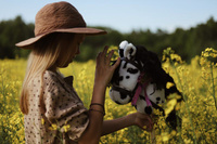 Hobby Horse Koń na kiju łaciaty Astrup 84348