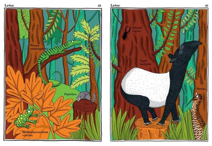 Narwańcy uwodziciele samotnicy Wydawnictwo Dwie Siostry, atlasy i książki dla dzieci