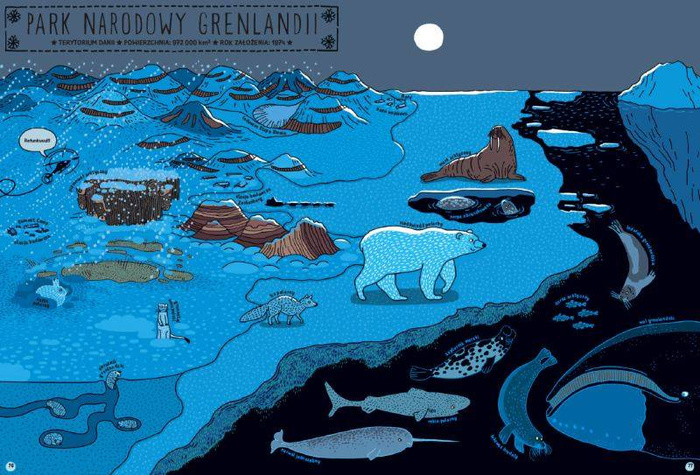 Którędy do Yellowstone? Wydawnictwo Dwie Siostry, książki dla dzieci