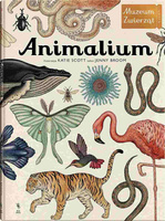 Animalium. Wydawnictwo Dwie Siostry, książki dla dzieci