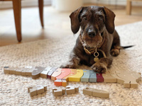 Drewniane puzzle edukacyjne Alfabet Jamnik Small Foot 12413