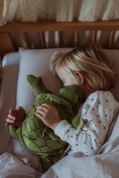 Pluszak obciążeniowy Sensoryczny Żółw 1,6 kg z małym żółwikiem Astrup 84687