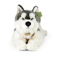 Pluszowy pies Husky 60 cm Rappa 211254