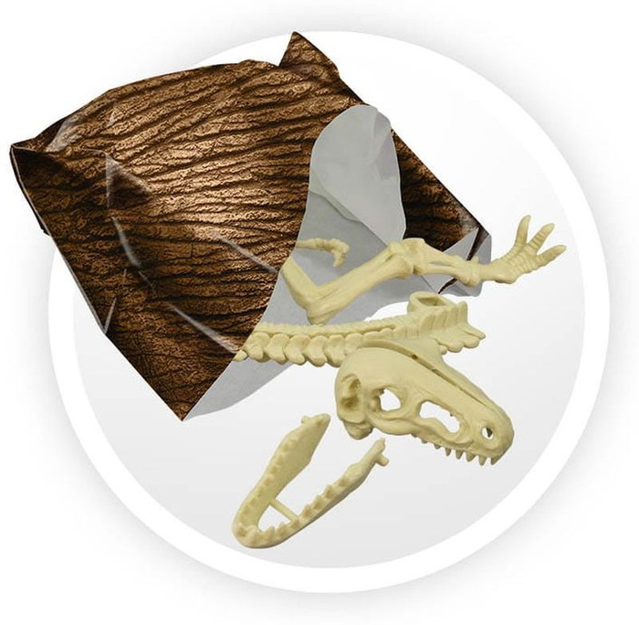 Pudełko 25 niespodzianek z dinozaurami Buki 2135 – zabawa i nauka