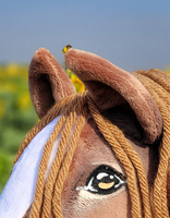 Super Hobby Horse Koń na kiju Western z długą miękką grzywą ręcznie wykonany gniady konik Premium