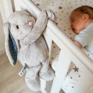 OUTLET Szumiący Króliś Felek whisb15-Whisbear