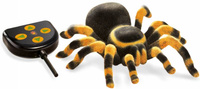 Nauka i zabawa dla dzieci Sterowana Tarantula 37291 Buki