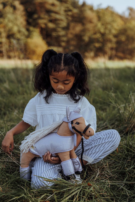 Kolekcja Minis Astrup Stajnia marzeń 4w1 Daisy fiolet