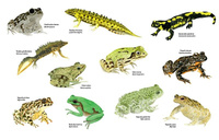 Na dworze. Wydawnictwo Dwie Siostry, książki dla dzieci