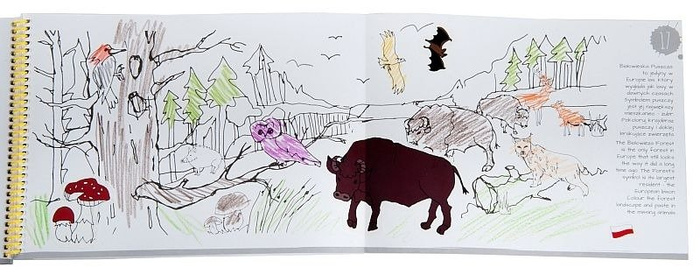 Przygoda z Polską - książka, kreatywna zabawa dla dzieci, ZT8146-Zuzu Toys