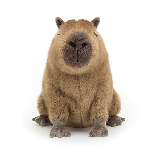 Kapibara 24 cm Jellycat maskotki CLY6C