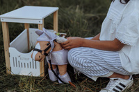 Kolekcja Minis Astrup Stajnia marzeń 4w1 Daisy fiolet