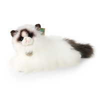 Pluszowy kot Ragdoll 35 cm Rappa 240407