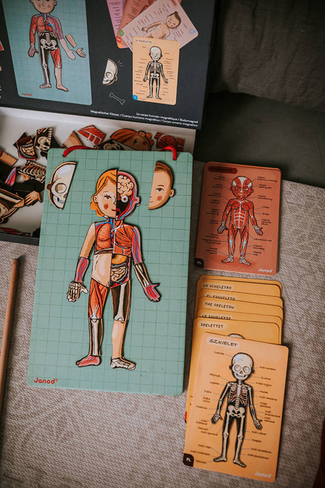 Edukacyjna układanka magnetyczna, "Anatomia człowieka", J05491-Janod, układanki dla dzieci