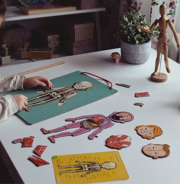 Edukacyjna układanka magnetyczna, "Anatomia człowieka", J05491-Janod, układanki dla dzieci