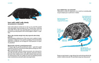 Na dworze. Wydawnictwo Dwie Siostry, książki dla dzieci