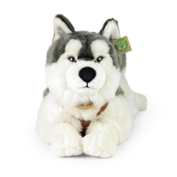 Pluszowy pies Husky 60 cm Rappa 211254