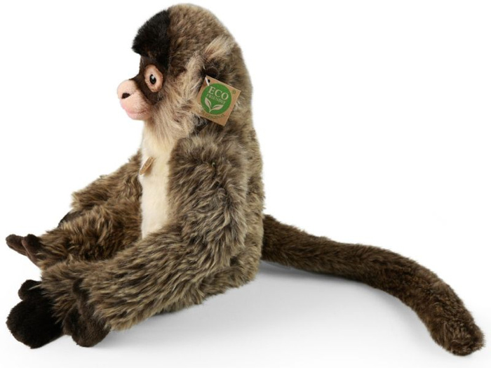 Pluszowa małpka czepiak 30 cm Rappa 232150