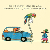 Pola z ulicy Czereśniowej Wydawnictwo Dwie Siostry, książki dla dzieci