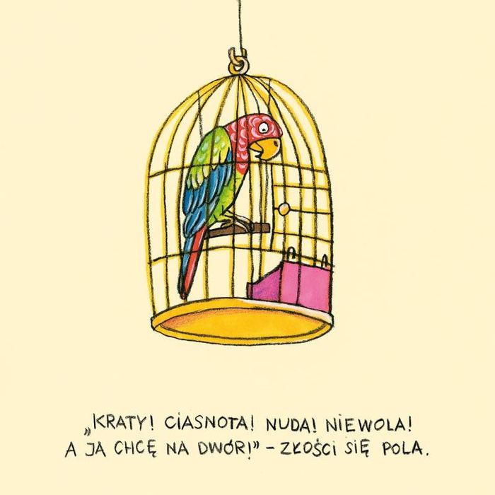 Pola z ulicy Czereśniowej Wydawnictwo Dwie Siostry, książki dla dzieci