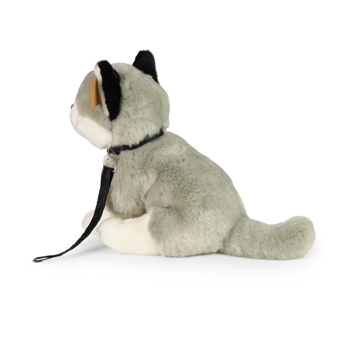 Pluszowy piesek Husky na smyczy 28 cm Rappa 231078