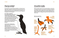 Na dworze. Wydawnictwo Dwie Siostry, książki dla dzieci