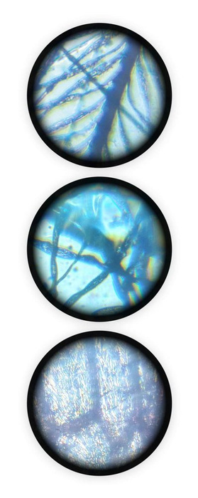 Nauka i zabawa dla dzieci Mikroskop 15 doświadczeń MR400 Buki