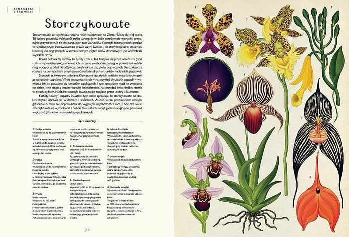 Botanicum. Wydawnictwo Dwie Siostry, książki dla dzieci