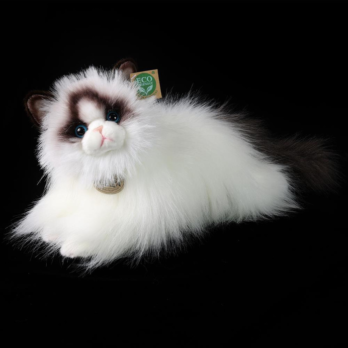 Pluszowy kot Ragdoll 35 cm Rappa 240407