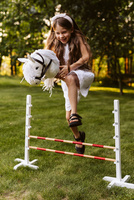 Hobby Horse przeszkoda dla konia na kiju Astrup 84231