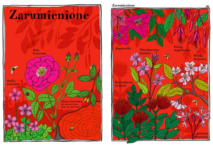 Elegantki trucicielki i inne ziółka Wydawnictwo Dwie Siostry, atlasy i książki dla dzieci