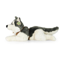 Pluszowy pies Husky 60 cm Rappa 211254