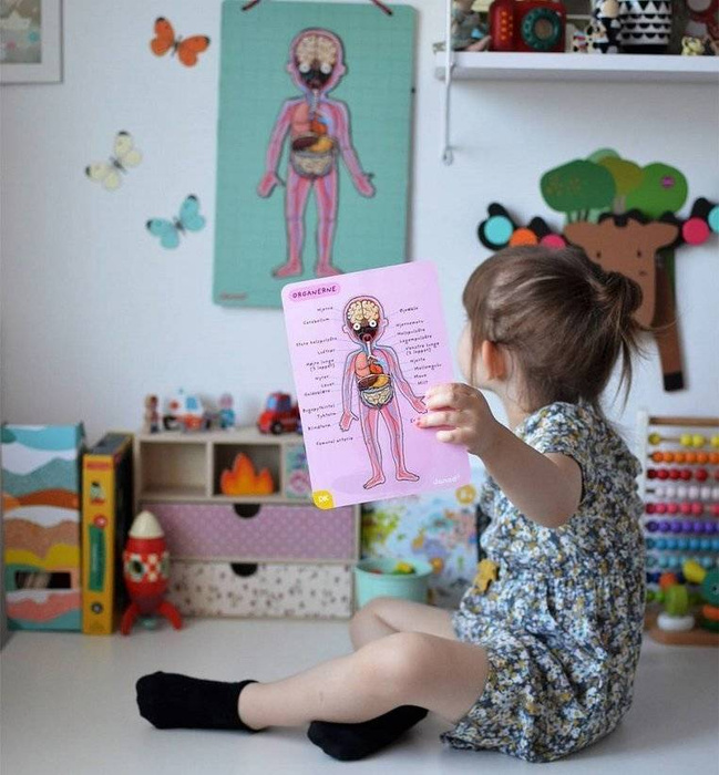 Edukacyjna układanka magnetyczna, "Anatomia człowieka", J05491-Janod, układanki dla dzieci