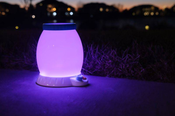 Obserwatorium Owadów Buggy Light FA274-1 Fat Brain Toy, lampka nocna