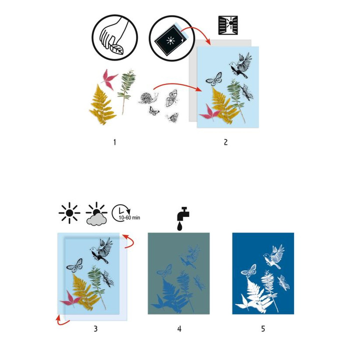 Zestaw artystyczny cyjanotypia Las Djeco DJ09339