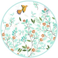 Transparentna pelerynka przeciwdeszczowa dla dzieci ptaszki Djeco DD04683