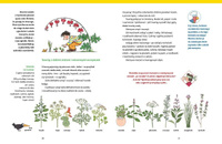 Wielkie gotowanie na ulicy Czereśniowej Wydawnictwo Dwie Siostry, książki dla dzieci