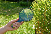 Lupa Terra Kids HB303529-Haba, zabawy w plenerze