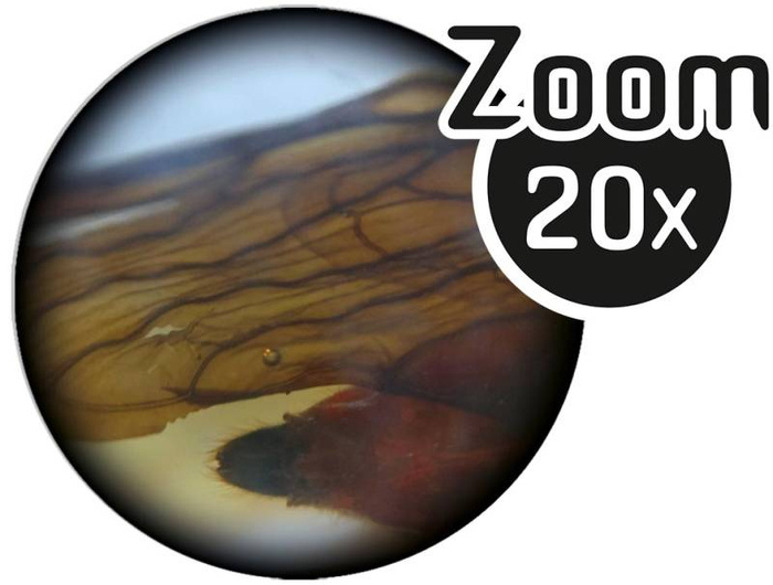 Nauka i zabawa dla dzieci Mikroskop dwuokularowy 40 doświadczeń MR500 Buki