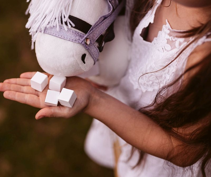 Zestaw do karmienia konia akcesoria do Hobby Horse Astrup 84357