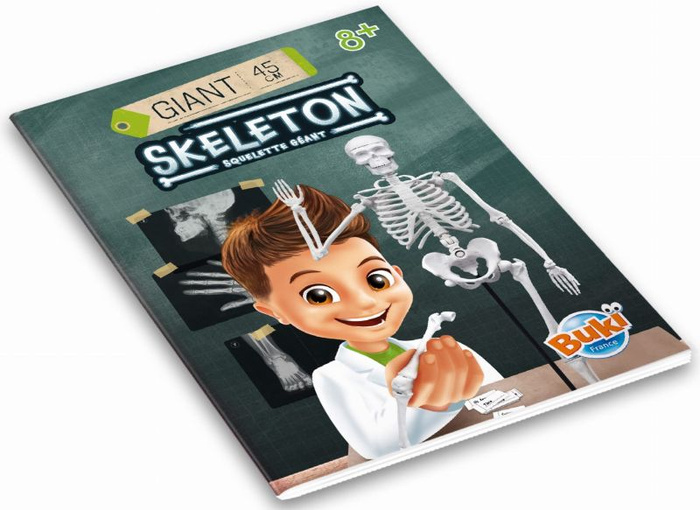 Szkielet człowieka 45 cm do samodzielnego złożenia dla dzieci Buki 2180
