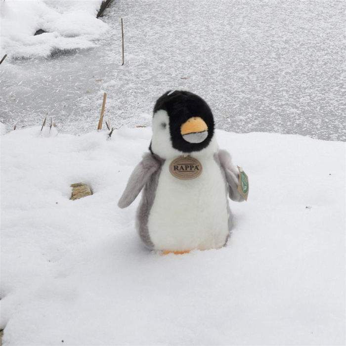 Pluszowy pingwin 20 cm Rappa 848047