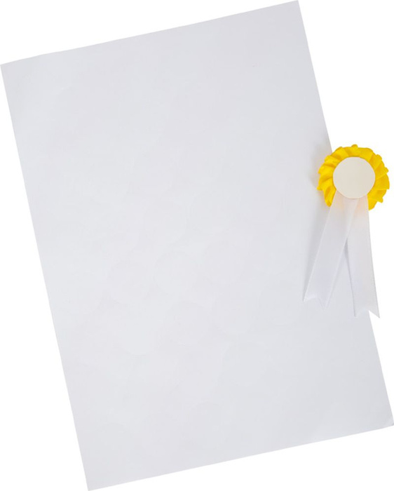 Zestaw do pielęgnacji konia hobby horsing Small Foot 12419