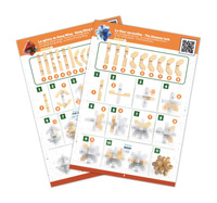 Łamigłówki dla bystrzaków Ekspert Buki 6207 Łamigłówki dla dzieci