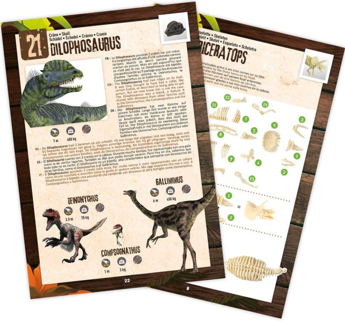 Pudełko 25 niespodzianek z dinozaurami Buki 2135 – zabawa i nauka