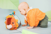 Wielofunkcyjny trójkąt z lusterkiem Lew Jack Lilliputiens 83562