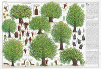 Drzewa. Wydawnictwo Dwie Siostry, książki dla dzieci