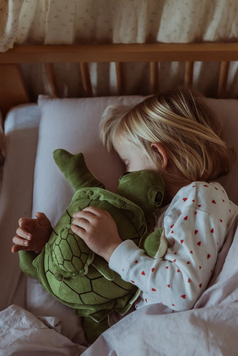 Pluszak obciążeniowy Sensoryczny Żółw 1,6 kg z małym żółwikiem Astrup 84687