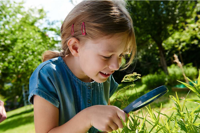 Lupa Terra Kids HB303529-Haba, zabawy w plenerze