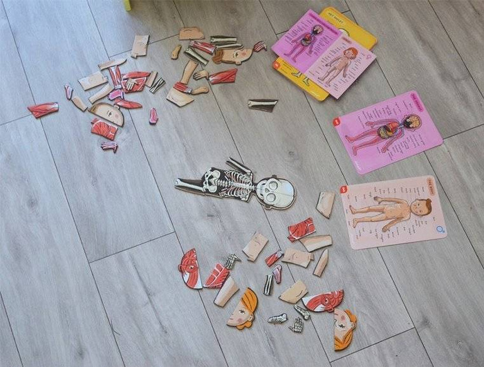 Edukacyjna układanka magnetyczna, "Anatomia człowieka", J05491-Janod, układanki dla dzieci